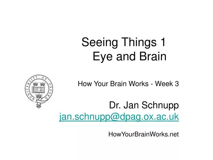how your brain works week 3 dr jan schnupp jan schnupp@dpag ox ac uk howyourbrainworks net