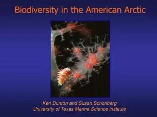 Biodiversity in the American Arctic