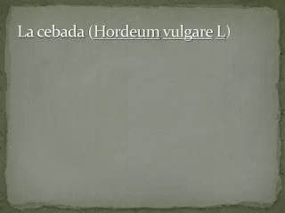 la cebada h ordeum vulgare l