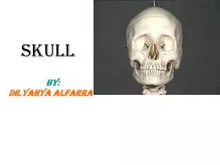 Skull BY: DR.Yahya Alfarra
