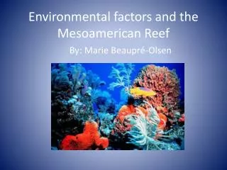 Environmental factors and the Mesoamerican Reef