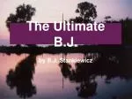 The Ultimate B.J. Adventure - slide 1