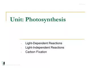 Unit: Photosynthesis