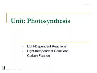 unit photosynthesis