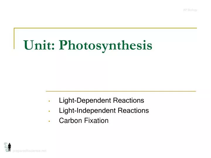 unit photosynthesis