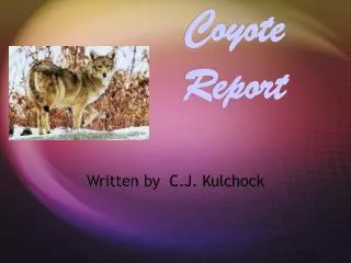 Coyote Report