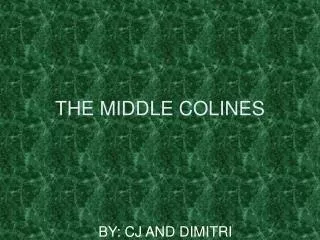 THE MIDDLE COLINES
