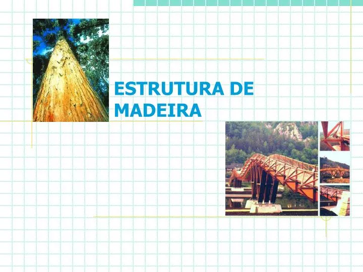 estrutura de madeira