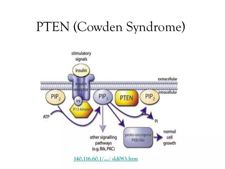 pten cowden syndrome