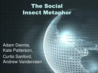 The Social Insect Metaphor