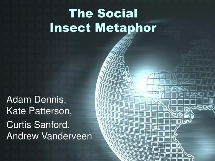 the social insect metaphor