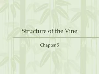 Structure of the Vine