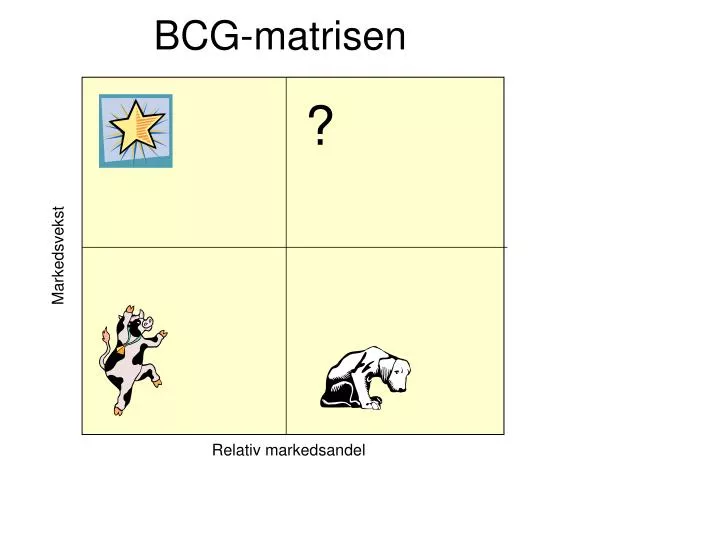 bcg matrisen