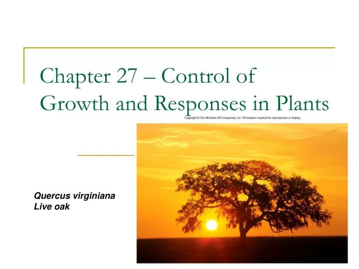 chapter 27 control of growth and responses in plants