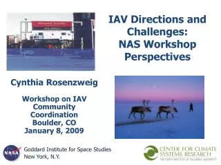 IAV Directions and Challenges: NAS Workshop Perspectives