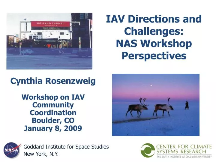 iav directions and challenges nas workshop perspectives