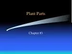 Plant Parts - slide 1