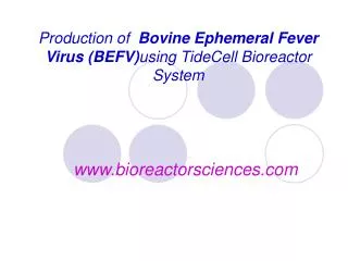 Production of Bovine Ephemeral Fever Virus (BEFV) using TideCell Bioreactor System