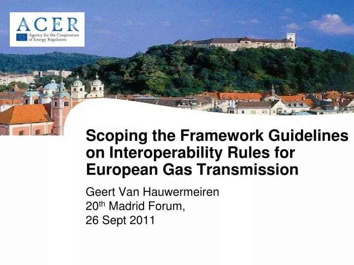 scoping the framework guidelines on interoperability rules for european gas transmission