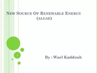 New Source Of Renewable Energy (algae)