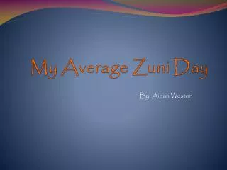 My Average Zuni Day