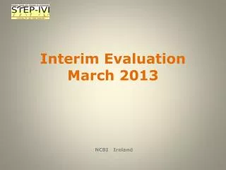 Interim Evaluation March 2013