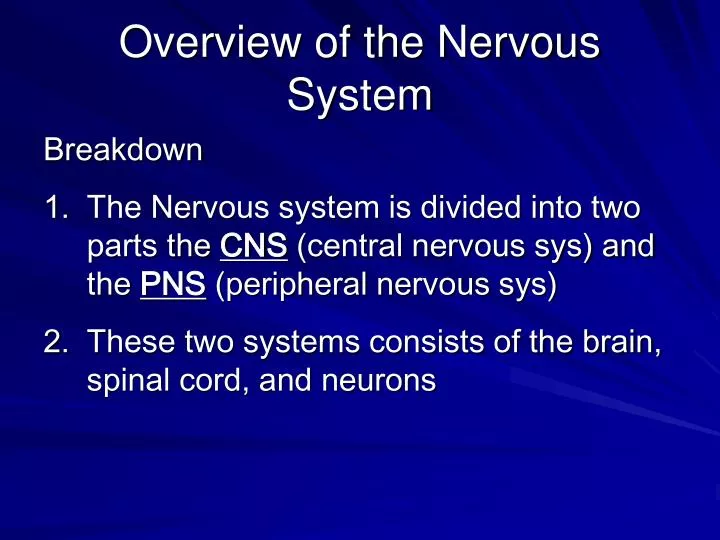 overview of the nervous system