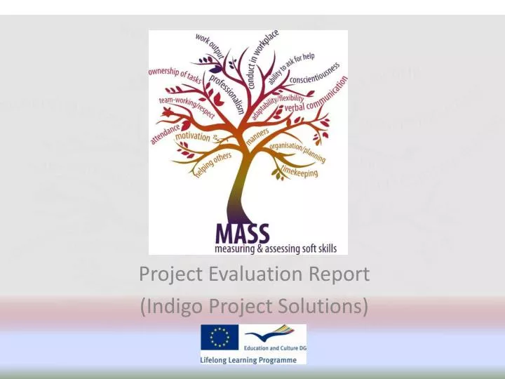 project evaluation report indigo project solutions