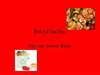 bwyd iachus