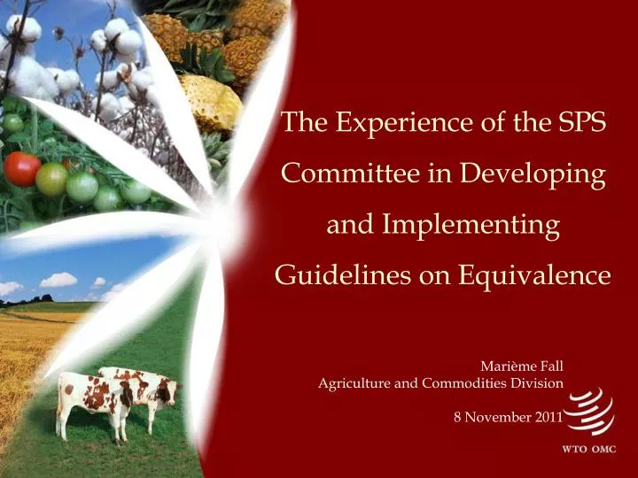 the experience of the sps committee in developing and implementing guidelines on equivalence