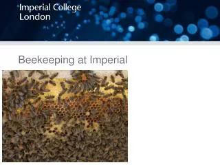 Beekeeping at Imperial