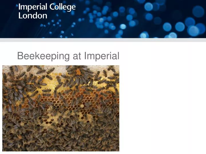 beekeeping at imperial