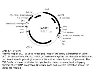 GABI-KAT system