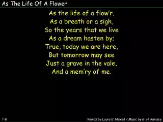 As The Life Of A Flower