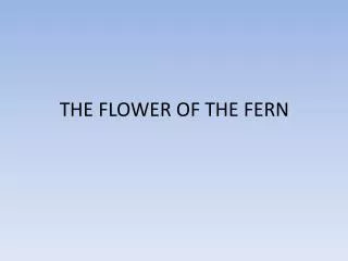 THE FLOWER OF THE FERN