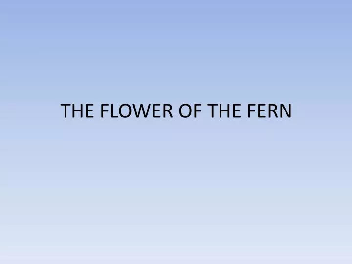 the flower of the fern
