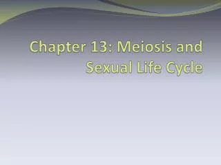 chapter 13 meiosis and sexual life cycle
