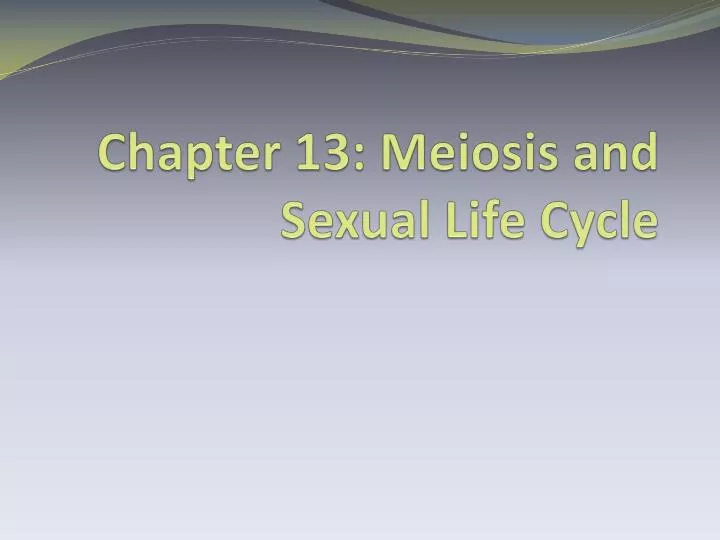 chapter 13 meiosis and sexual life cycle