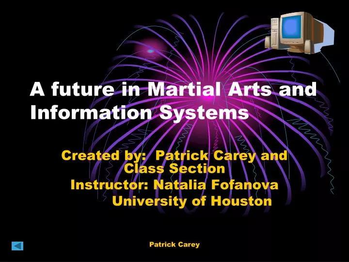 a future in martial arts and information systems