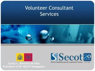 Volunteer Consultant Services