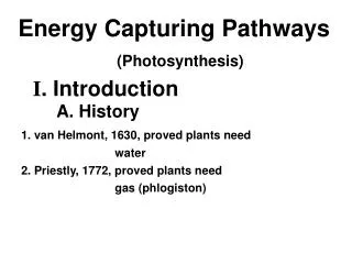 Energy Capturing Pathways (Photosynthesis)