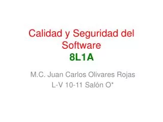 calidad y seguridad del software 8l1a