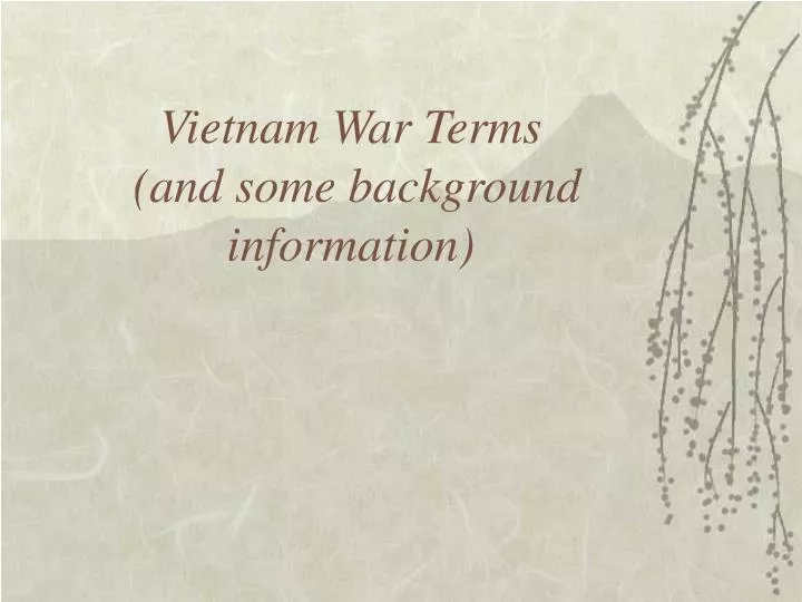 vietnam war terms and some background information