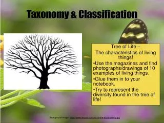 Taxonomy &amp; Classification