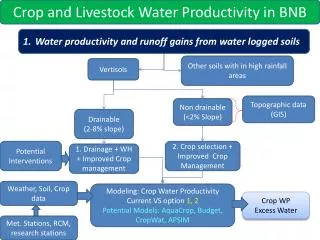 Water productivity and runoff gains from water logged soils