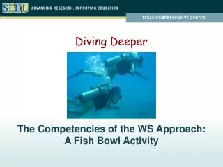 The Competencies of the WS Approach: A Fish Bowl Activity