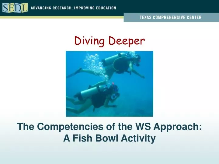 the competencies of the ws approach a fish bowl activity
