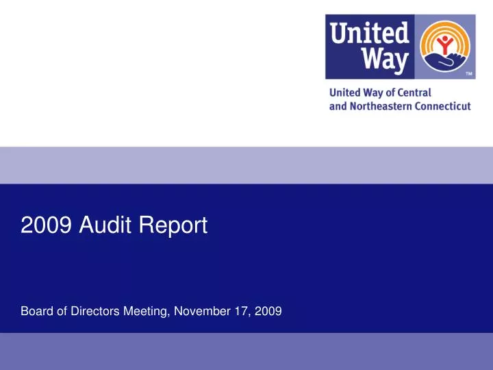 2009 audit report