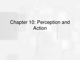 Chapter 10: Perception and Action