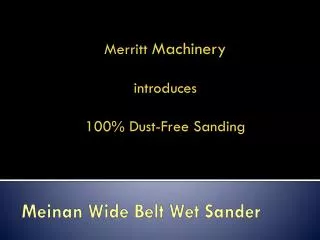 Meinan Wide Belt Wet Sander